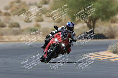 media/May-14-2023-SoCal Trackdays (Sun) [[024eb53b40]]/Turn 5 Tree of Life (1125am)/